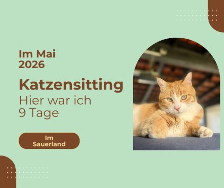 Kalli